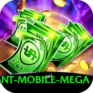 basant Mobile Mega - 2