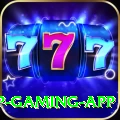 y666 VIP Gaming App